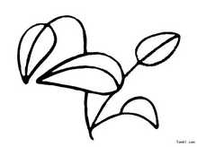 桃花5